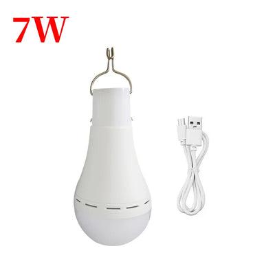 Ampoule Solaire LED avec Panneau Photovoltaïque Déporté et Télécommande 7W/9W