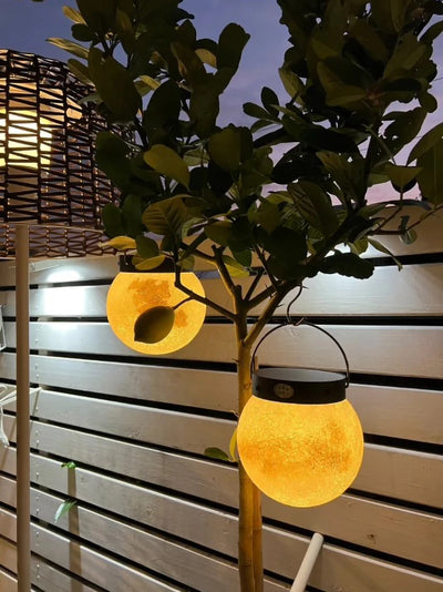 Applique Solaire Murale Lune LED Étanche