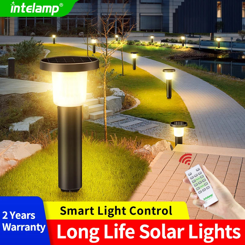 Lampe Solaire de Jardin à Planter pour Pelouse et Allée (Lot de 2)