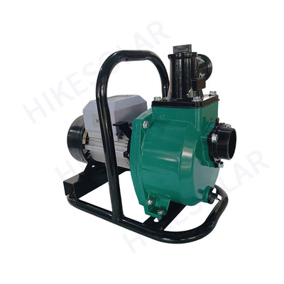 Pompe Solaire de Surface 1,1 CV 48V MPPT Inox Irrigation
