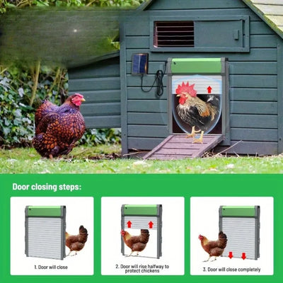 Porte Automatique de Poulailler Solaire Pivotante pour Élevage