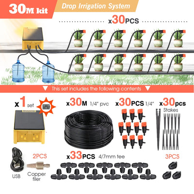 Système d'Irrigation Solaire Automatique Double Pompe