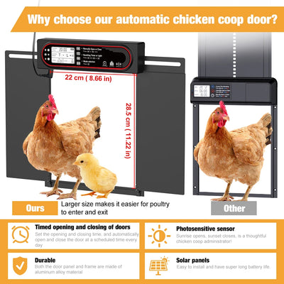 Porte Automatique de Poulailler Solaire pour Canards et Oies