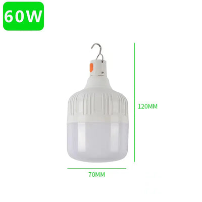 Ampoule Solaire LED avec Panneau Photovoltaïque Déporté et Télécommande 7W/9W