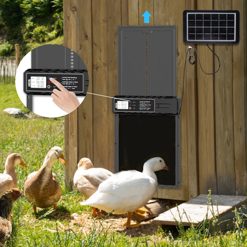 Porte Automatique de Poulailler Solaire Panneau Déporté