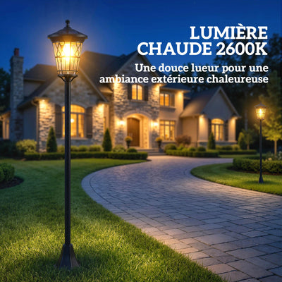 Lampadaire Solaire Outsunny 1,86 m Acier Inoxydable Lot de 2