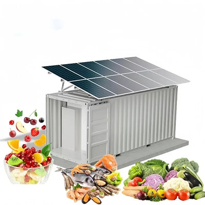 Réfrigérateur Solaire Mobile Chambre Froide