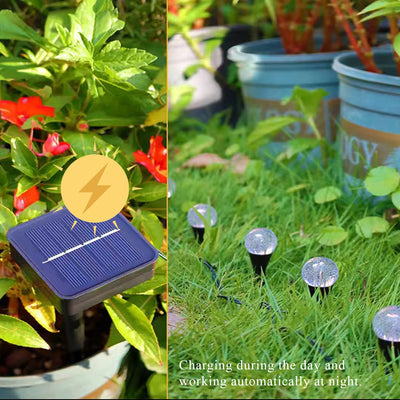 Guirlande Solaire LED Pelouse Jardin Étoile Boule Lune