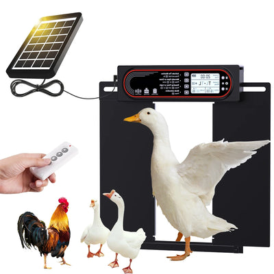 Porte Automatique de Poulailler Solaire pour Canards et Oies
