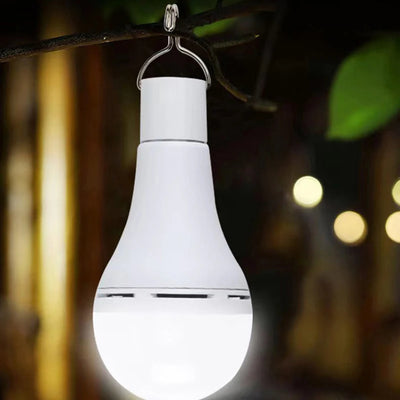 Ampoule Solaire LED avec Panneau Photovoltaïque Déporté et Télécommande 7W/9W