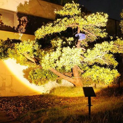 Lumière Solaire de Chemin Projecteur Extérieur pour Allée et Jardin