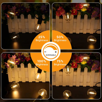 Guirlande Solaire LED G40 Globe Incassable Étanche Jardin