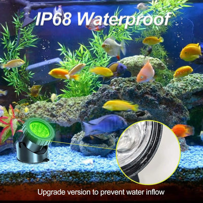 Lampe Solaire Bassin Submersible RGB Kit 3 à 5 Spots