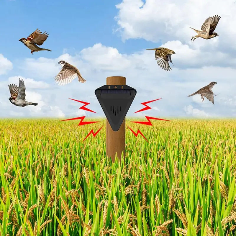 Effaroucheur Solaire Sonore 13 Modes pour Chiens et Oiseaux