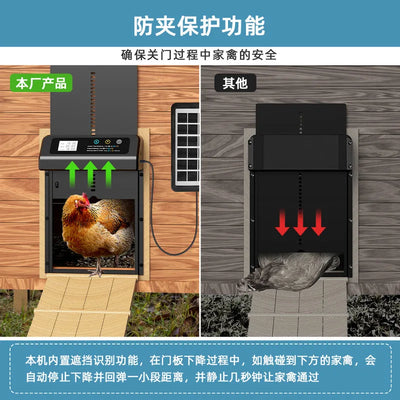 Porte Automatique de Poulailler Solaire en Acier Inoxydable