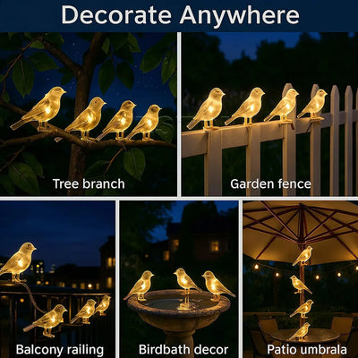 Guirlande Solaire Féerique Étanche Jardin et Balcon