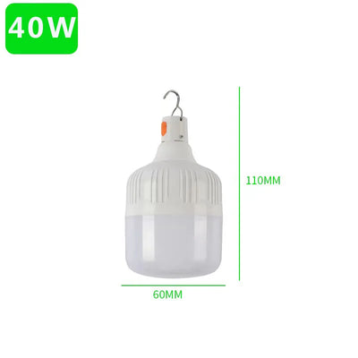 Ampoule Solaire LED avec Panneau Photovoltaïque Déporté et Télécommande 7W/9W