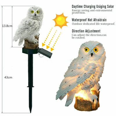Lampe Solaire Hibou LED Étanche Décoration de Jardin
