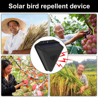 Répulsif Solaire Oiseaux à Minuteur 13 Sons IP55