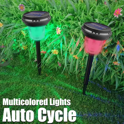 Balise Solaire à Planter Multicolore pour Jardin et Allée