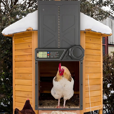 Porte Automatique de Poulailler Solaire Étanche Résistante au Froid