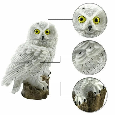 Lampe Solaire Décorative 62 LED Étanche pour Jardin