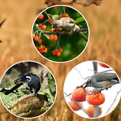 Répulsif Solaire Oiseaux à Minuterie 13 Sons Étanche