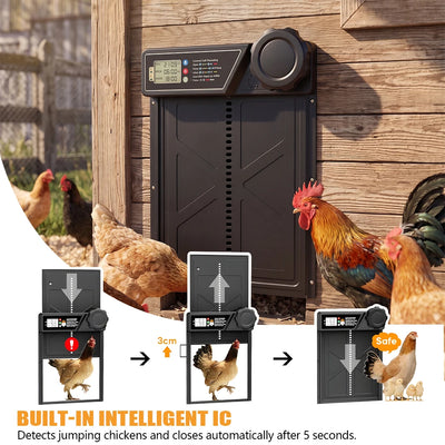 Porte Automatique de Poulailler Solaire Grand Froid et Chaleur