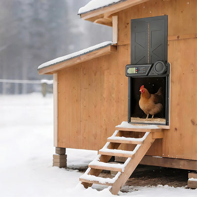 Porte Automatique de Poulailler Solaire LCD Poules et Canards