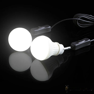 Ampoule solaire LED à panneau déporté, éclairage