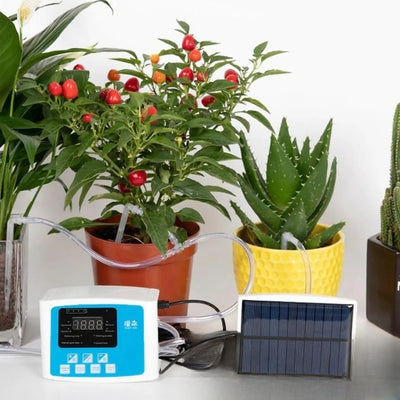 Kit d'arrosage solaire en situation avec plantes en pot