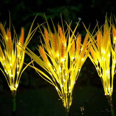 Blé Lumineux Solaire Décoration Jardin Extérieur – blé décoratif planté au jardin
