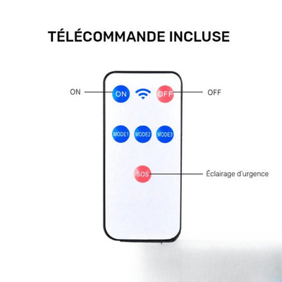 Caméra factice solaire LED avec télécommande incluse