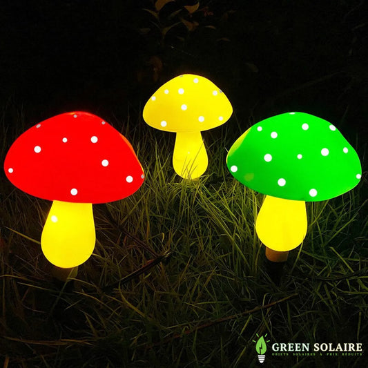 CHAMPIGNON LUMINEUX SOLAIRE