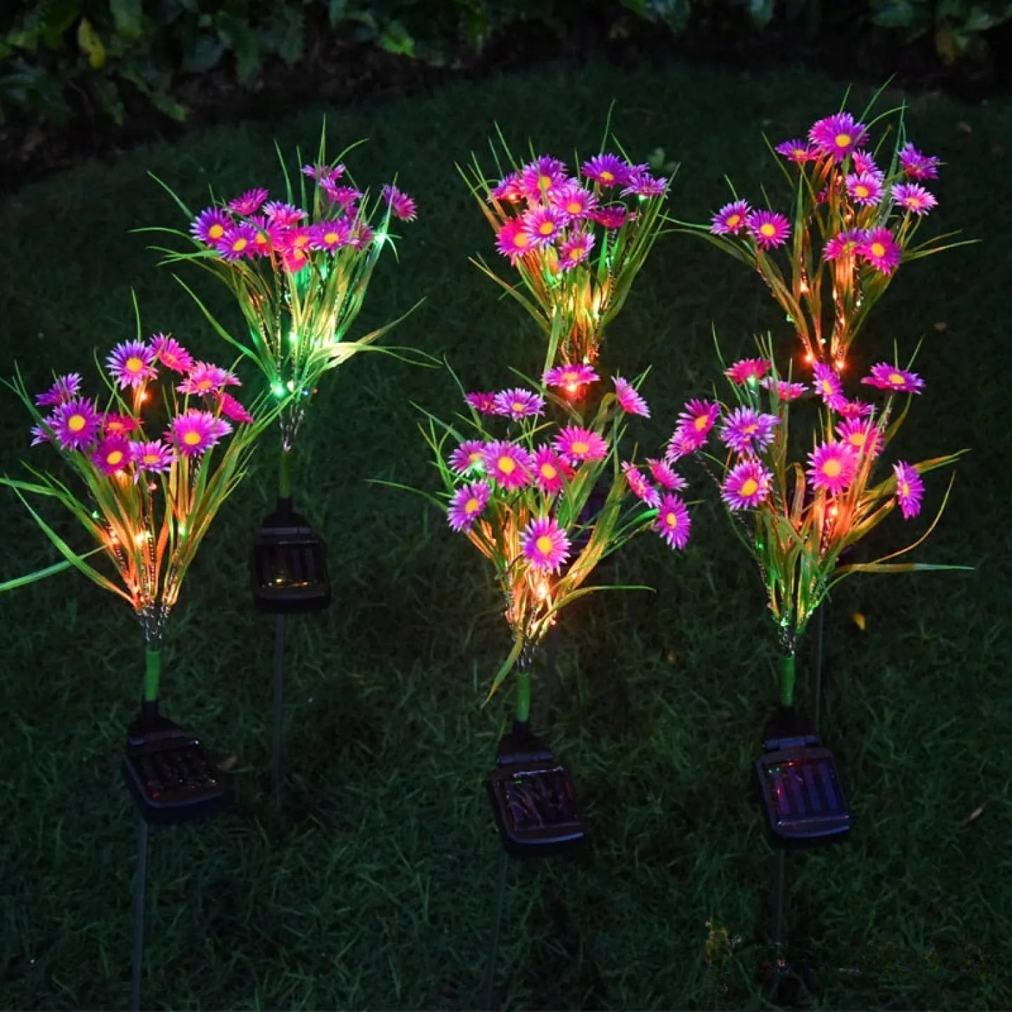 Fleur Solaire Chrysanthème Décorative Lumineuse Jardin