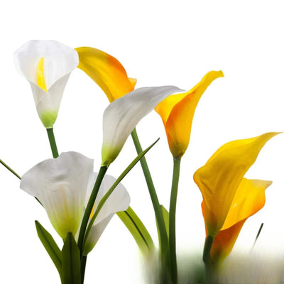 Fleur Solaire de Décoration à Planter Blanc Jaune