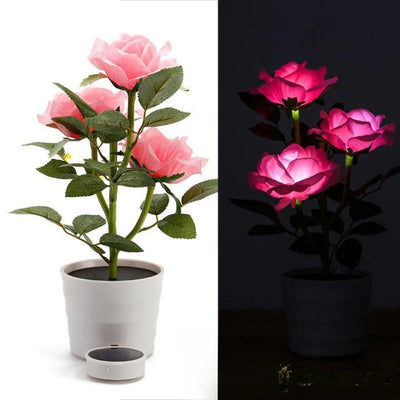 Fleur solaire rose décorative coloris rose
