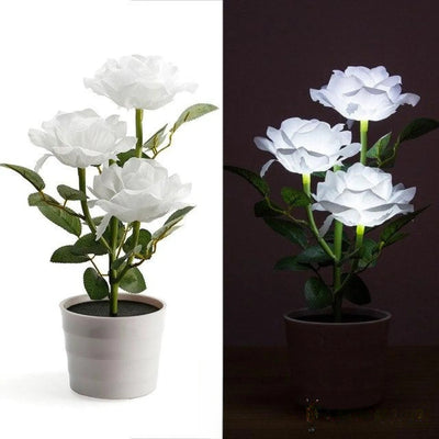 Fleur solaire rose décorative coloris blanc