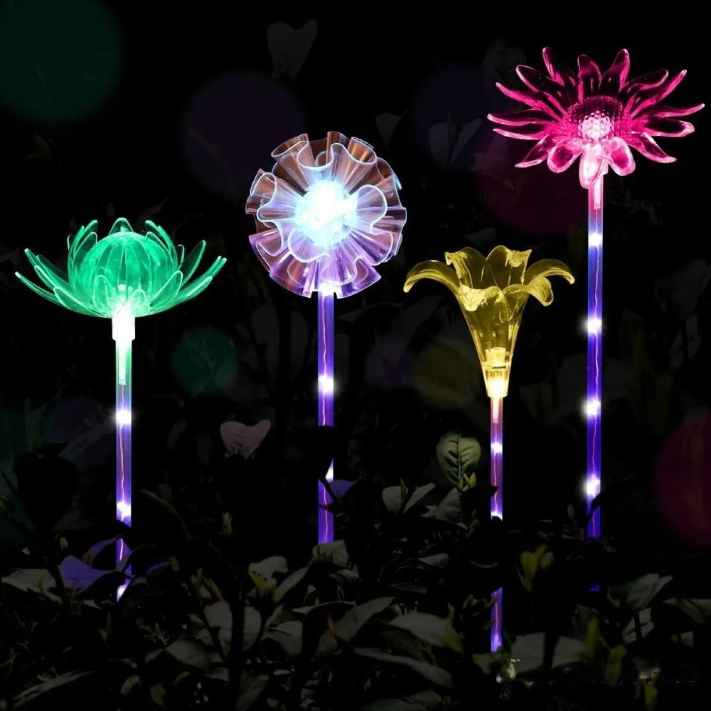 Fleurs Solaires Décoratives Lumineuses Jardin Multicolore
