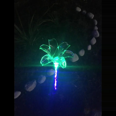 Fleurs Solaires Décoratives Lumineuses Jardin Vert