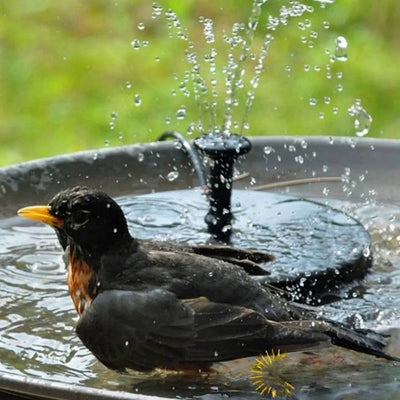 Fontaine Solaire Extérieur de Jardin Autonome – jet d'eau alimenté par panneau solaire