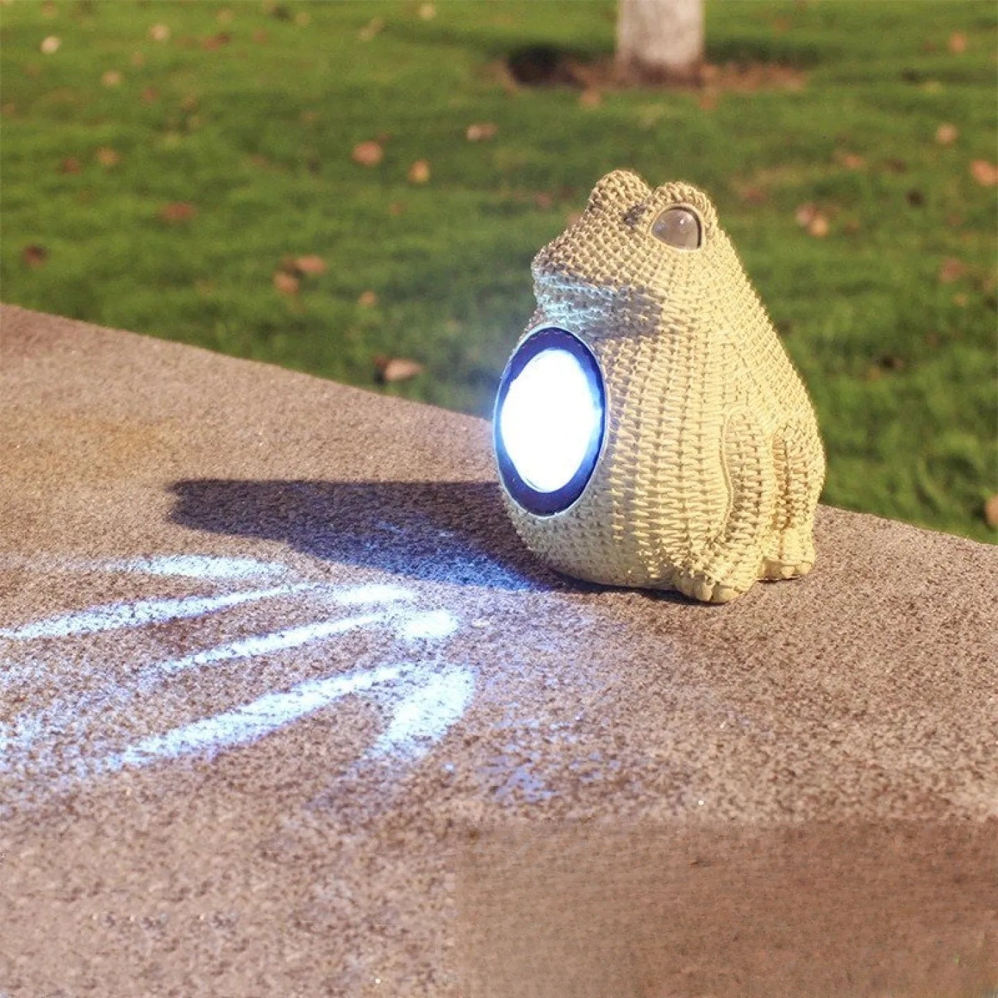 Grenouille Solaire Lumineuse Décoration Animal de Jardin
