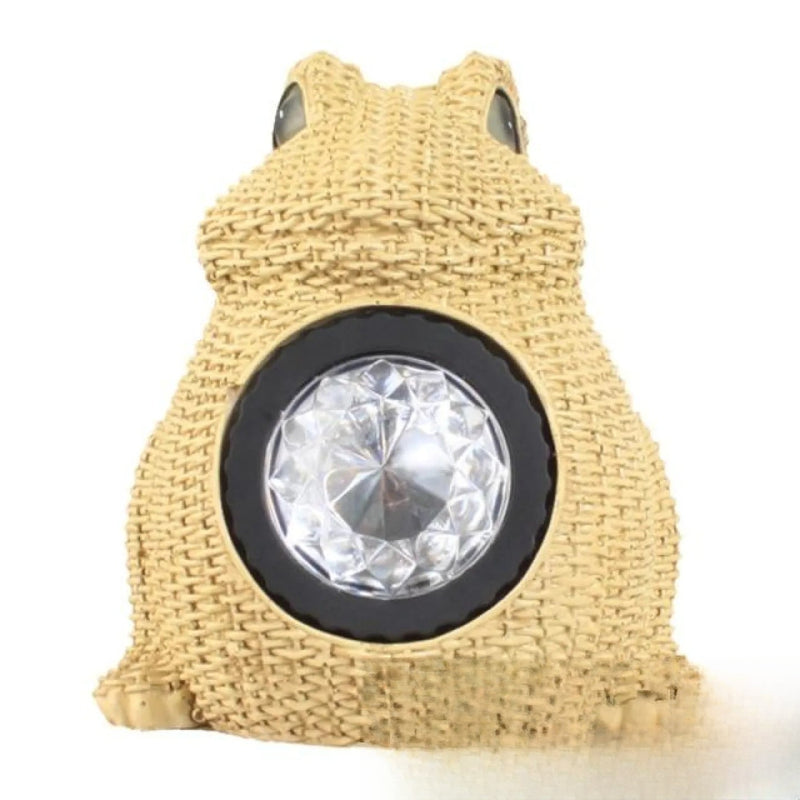 Grenouille Solaire Lumineuse Décoration Animal de Jardin