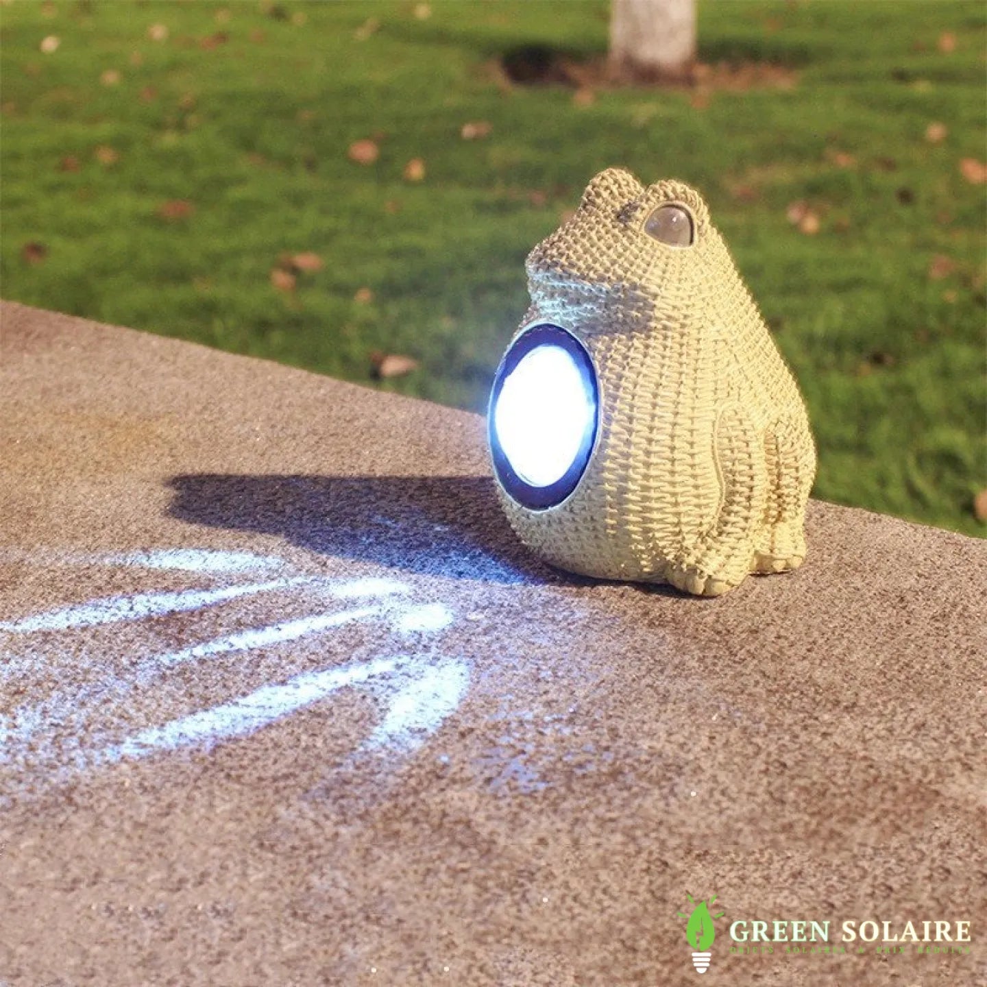 GRENOUILLE SOLAIRE LUMINEUSE ANIMAUX DE JARDIN