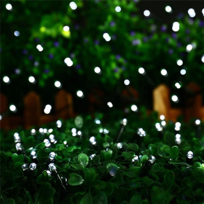 Guirlande solaire LED blanc jardin haie nuit