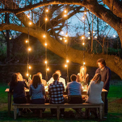 https://www.magic-solaire.com/wp-content/uploads/2021/06/guirlande-lumineuse-solaire-blanc-chaud-jardin.jpg