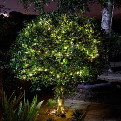 https://www.magic-solaire.com/wp-content/uploads/2022/05/guirlande-solaire-arbre.jpg