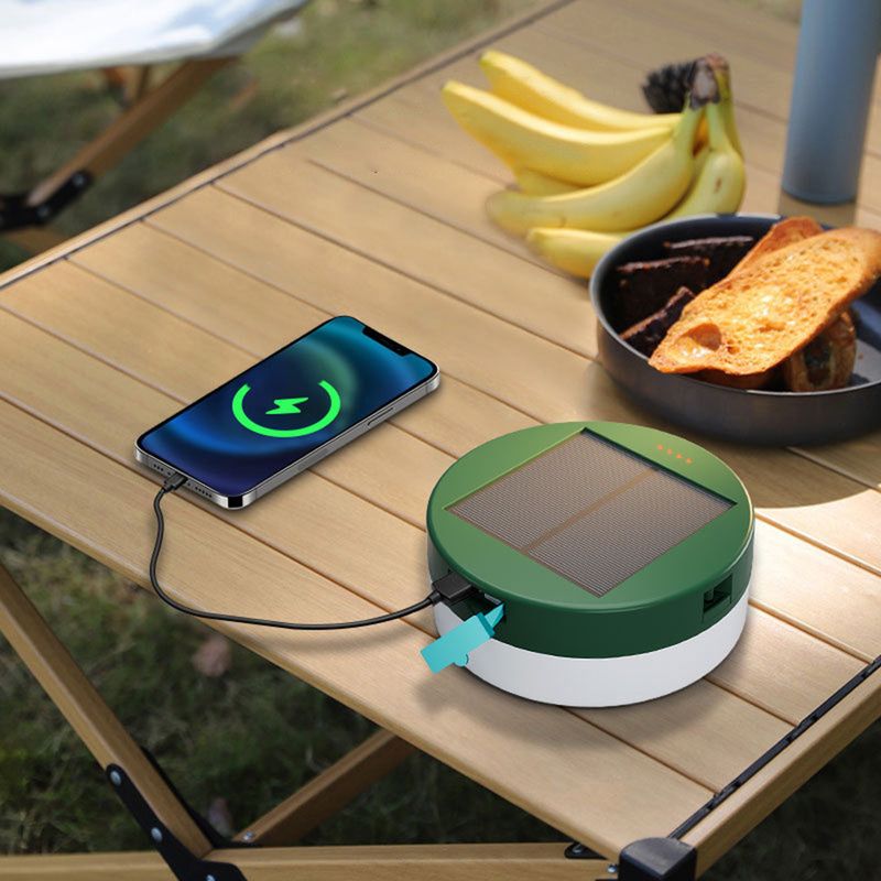 Guirlande solaire RGBIC LED intelligente pour jardin