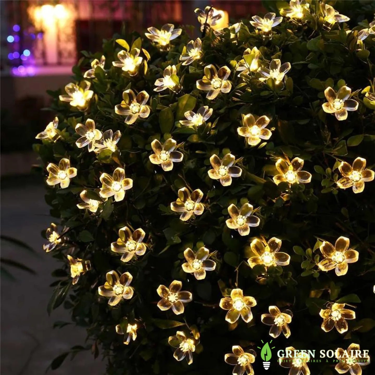 GUIRLANDE SOLAIRE LED FLEURS 7M