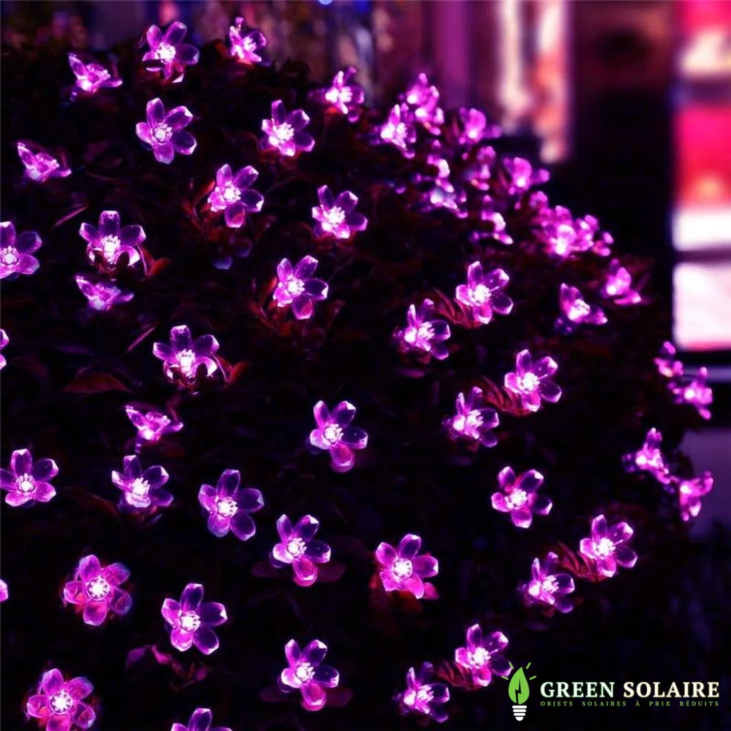 GUIRLANDE SOLAIRE LED FLEURS 7M